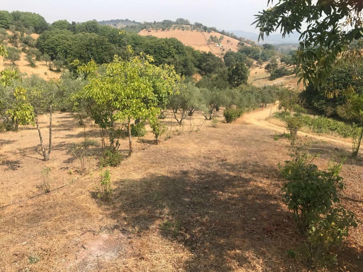 Casa Rural En Constantina Zewnętrze zdjęcie