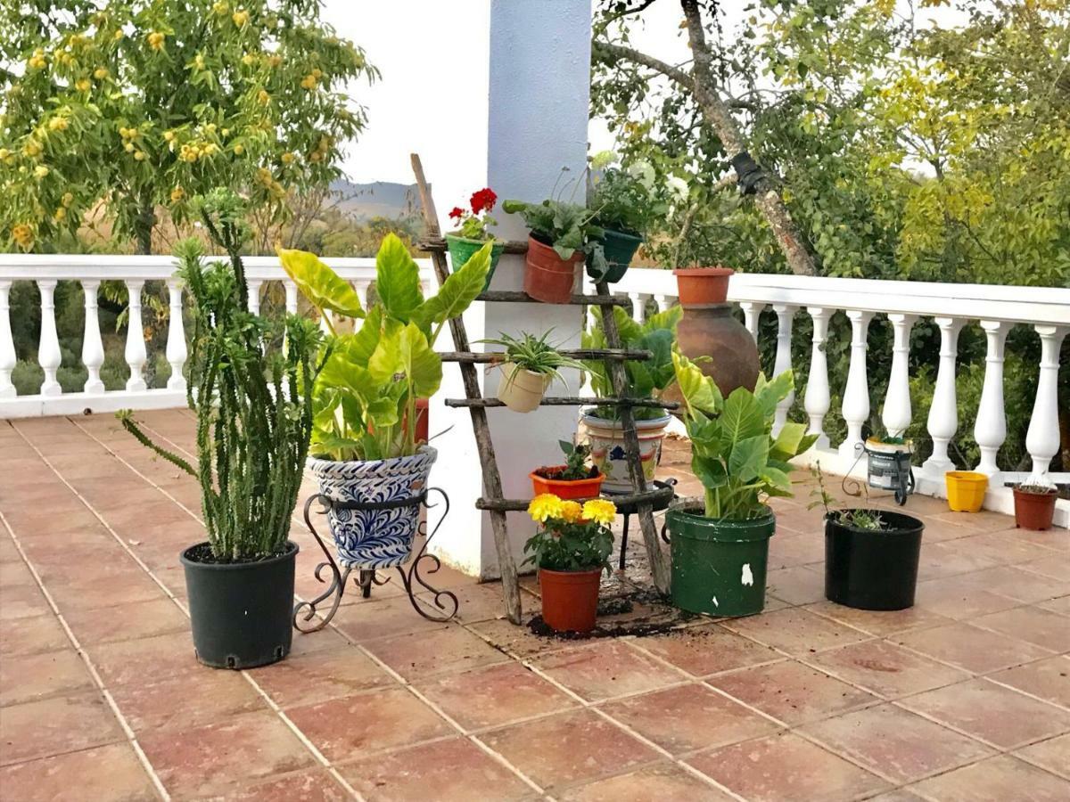 Casa Rural En Constantina Zewnętrze zdjęcie
